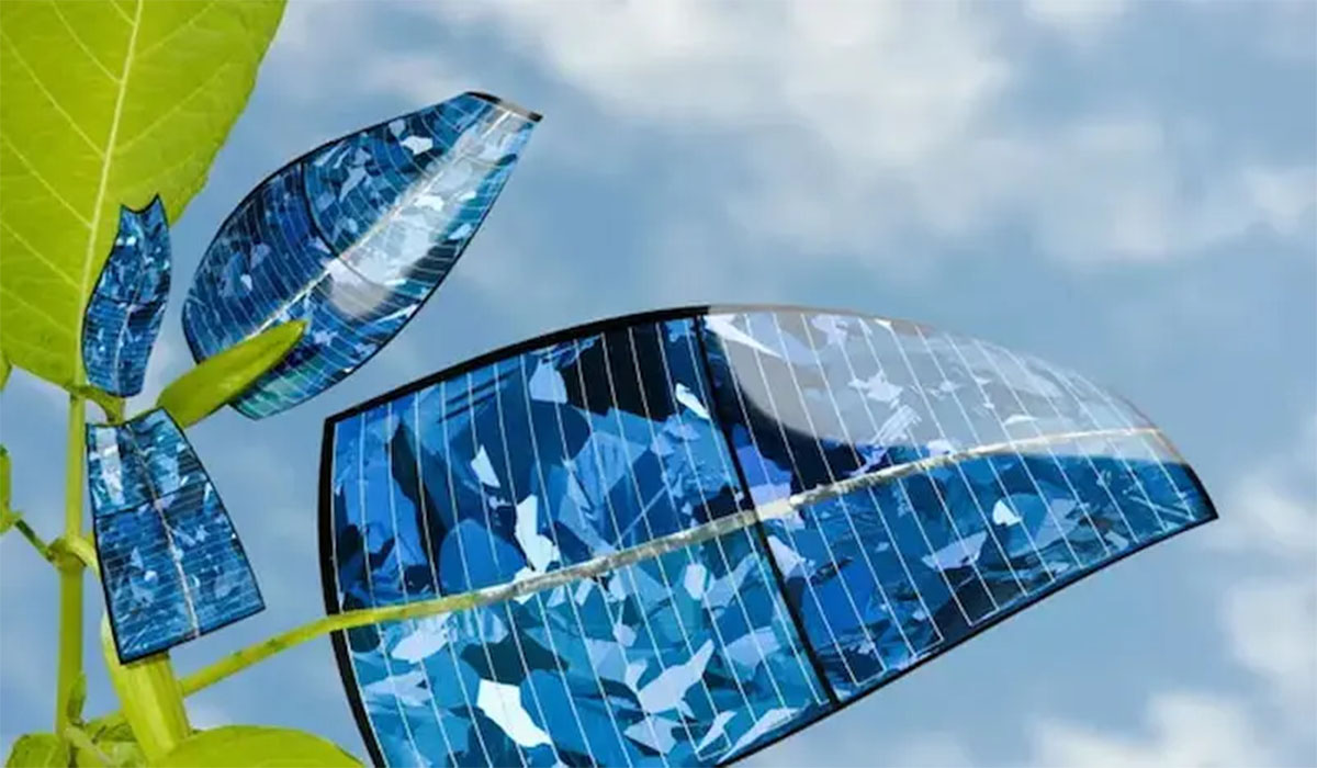 آمازون و Orbital برای حذف CO2 همکاری می کنند